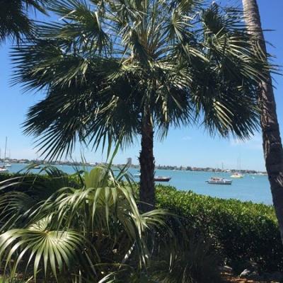 Sarasota