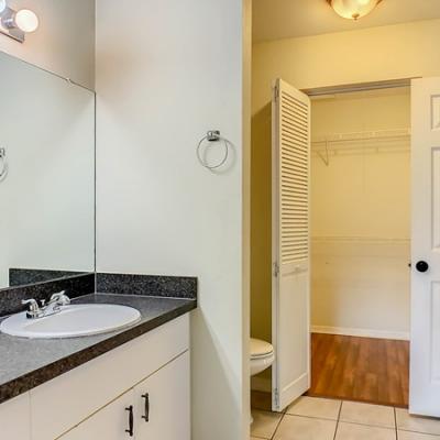 Bathroom and walk-in closet