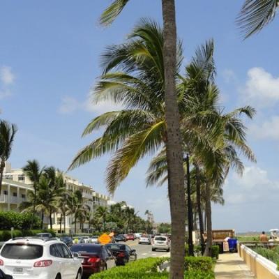 Fort Lauderdale, luxury real estate